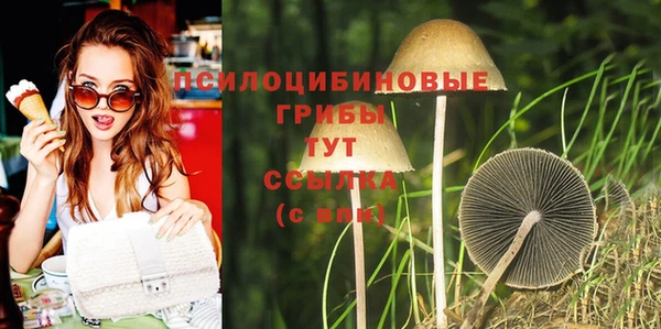 ешки Абинск