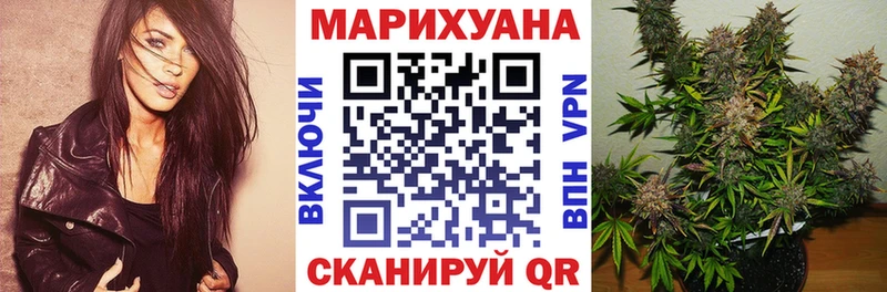 omg ссылки  shop какой сайт  Шишки марихуана Amnesia  хочу   Владикавказ 